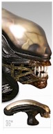 Alien 1:1 scale prop replica head Sideshow