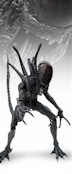 Alien Warrior 16 inch Fully Poseable Model Kit Sideshow