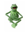Kermit the Frog photo puppet