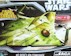 Star Wars saga collection Kit Fisto Jedi starfighter exclusive sealed