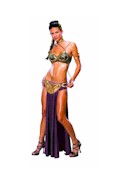 Slave Leia secret wishes costume