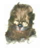Vintage Don Post Chewbacca mask